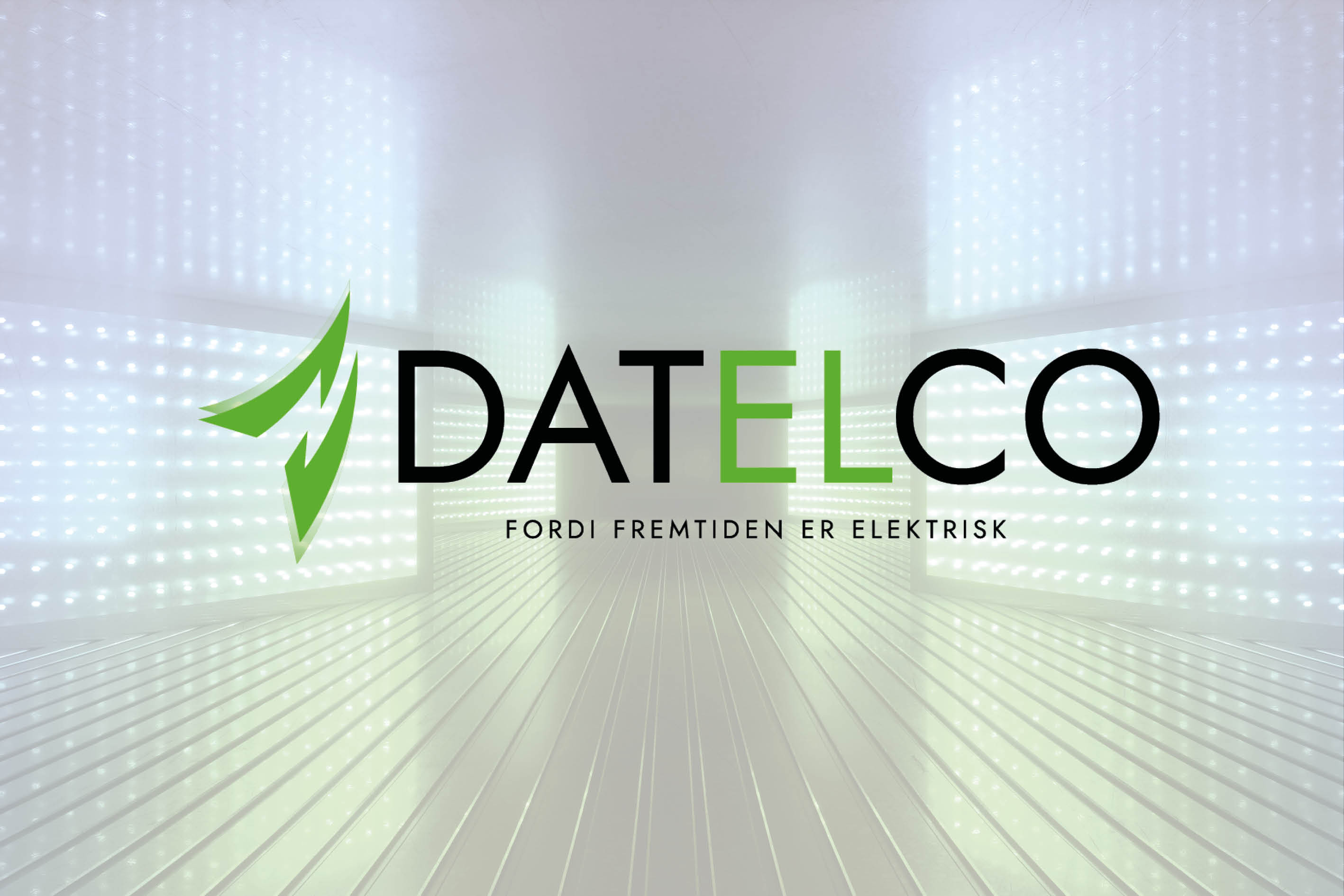 Datelco_ny logo